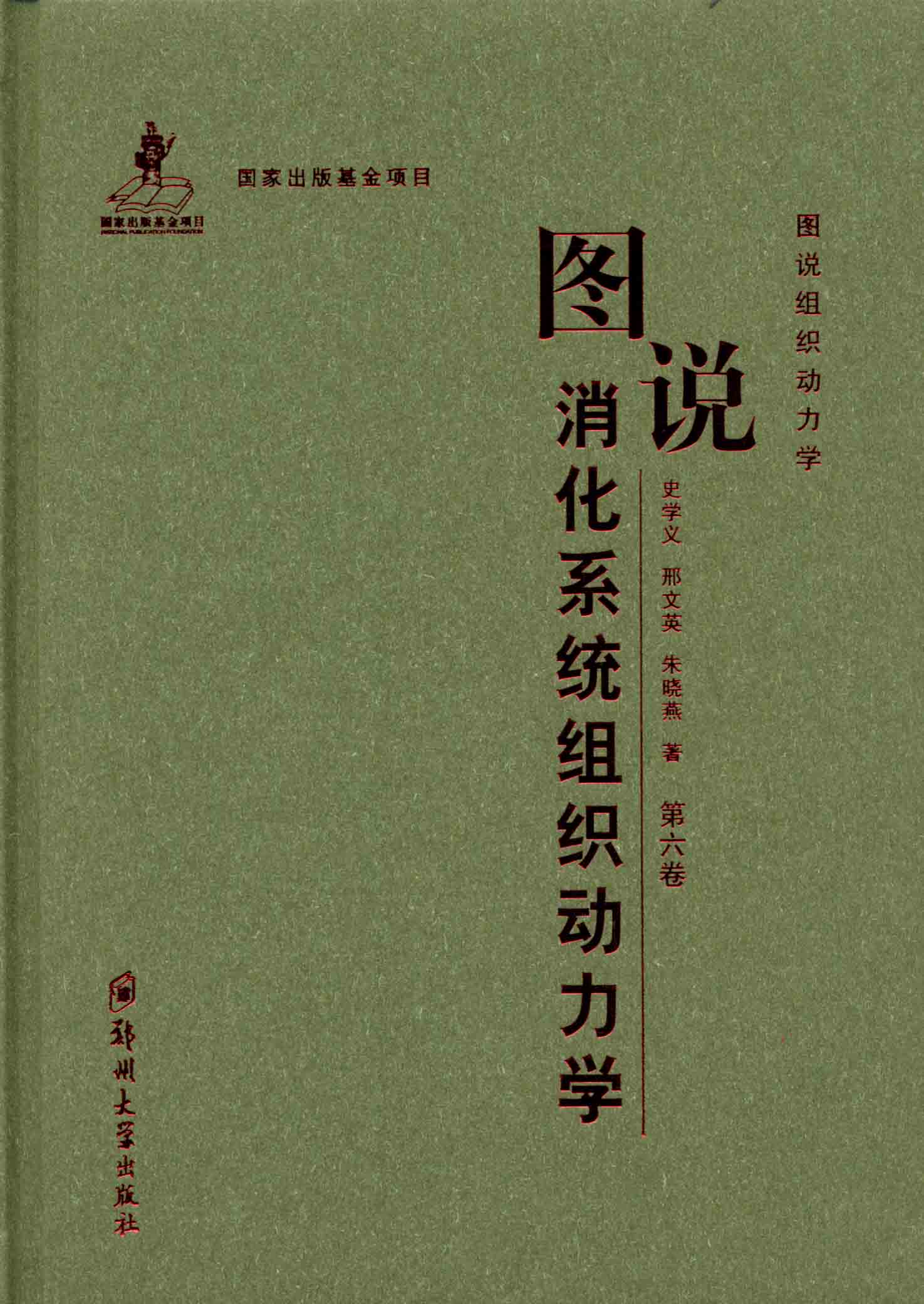 图说消化系统组织动力学